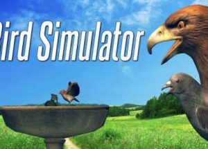 Bird Simulator Game Free Download