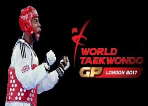 Taekwondo Grand Prix Game Free Download