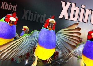 Xbird Game Download Free For Pc – PCGAMEFREETOP